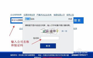 全國(guó)企業(yè)信息查詢(xún)?nèi)ヂ?權(quán)威渠道與方法詳解