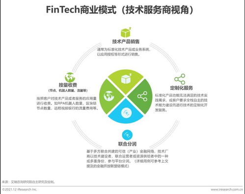 2021年中國金融科技（FinTech）行業發展洞察報告 網絡技術服務的創新與變革